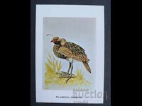 Κοινωνικό Ημερολόγιο