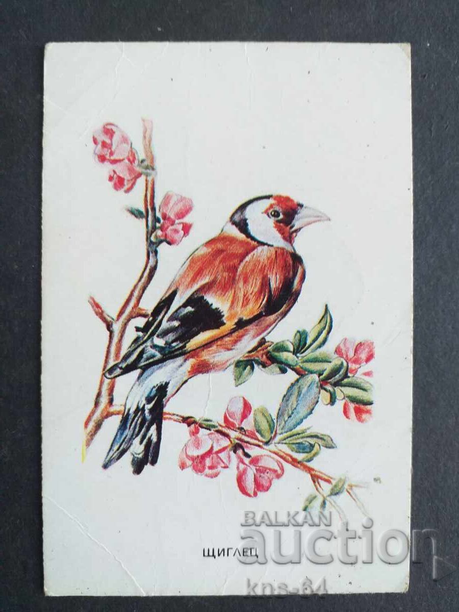 Κοινωνικό Ημερολόγιο Κοινωνικό Ημερολόγιο