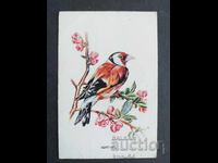 Κοινωνικό Ημερολόγιο