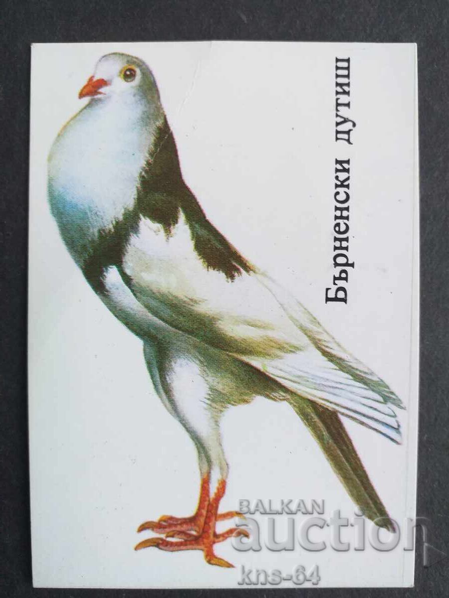 Κοινωνικό Ημερολόγιο Κοινωνικό Ημερολόγιο