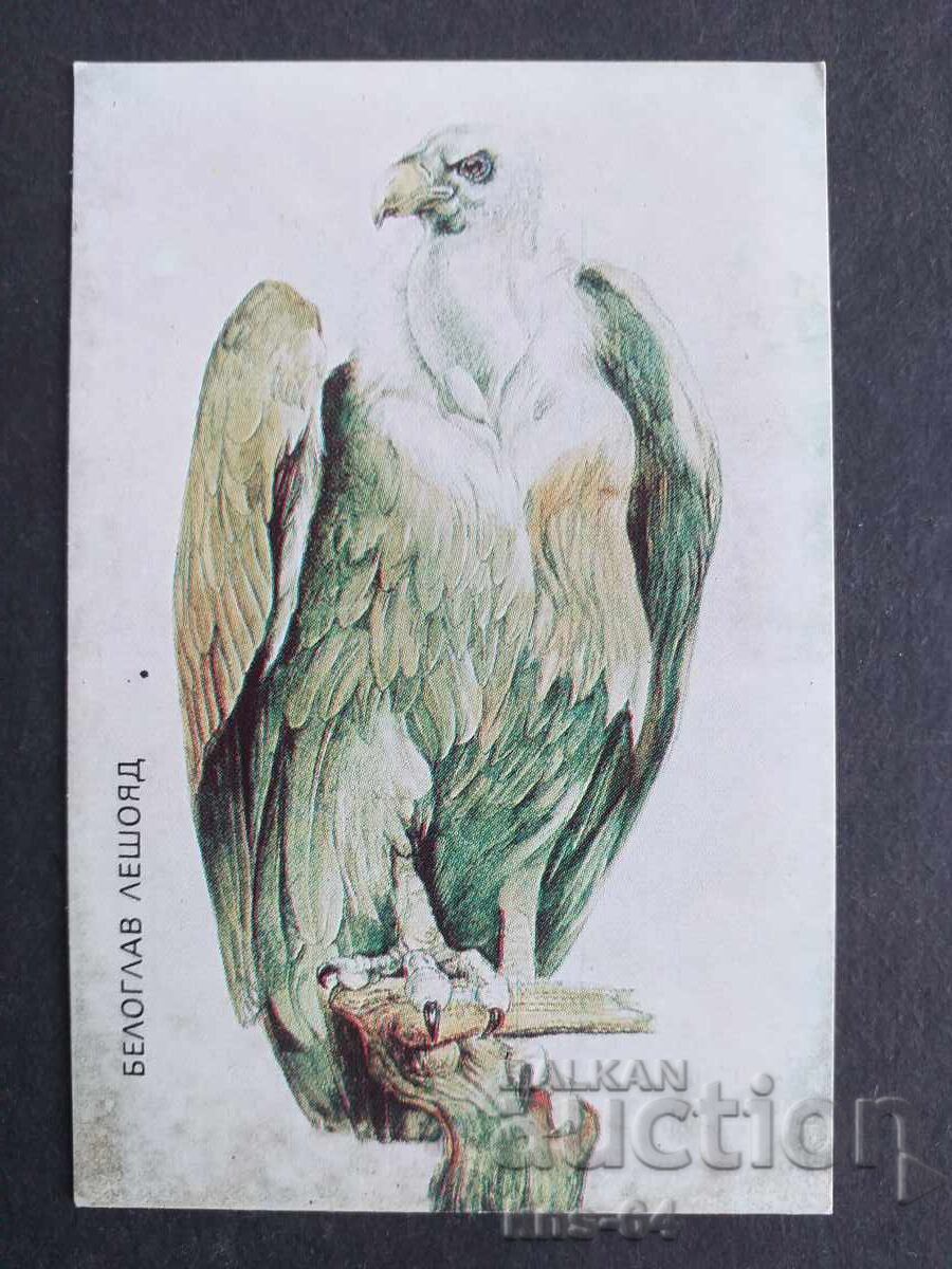 Κοινωνικό Ημερολόγιο Κοινωνικό Ημερολόγιο