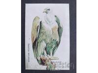 Κοινωνικό Ημερολόγιο