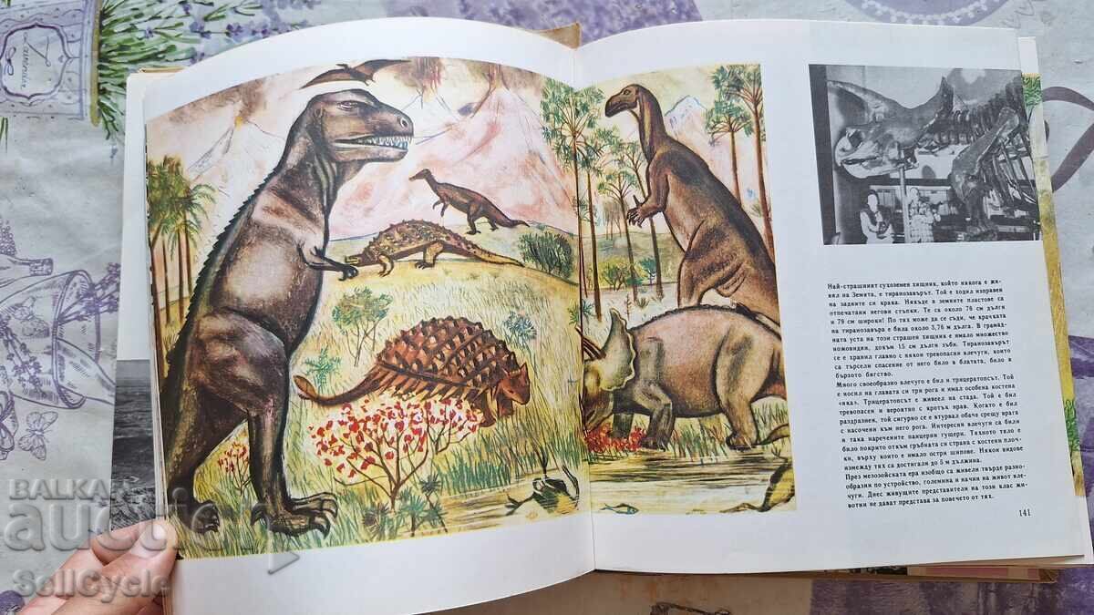 ✅СВЕТЪТ ОТ КОЙТО ИДВАМЕ - ДИМИТЪР ПЕЕВ - 1970 Г.❗ - 5