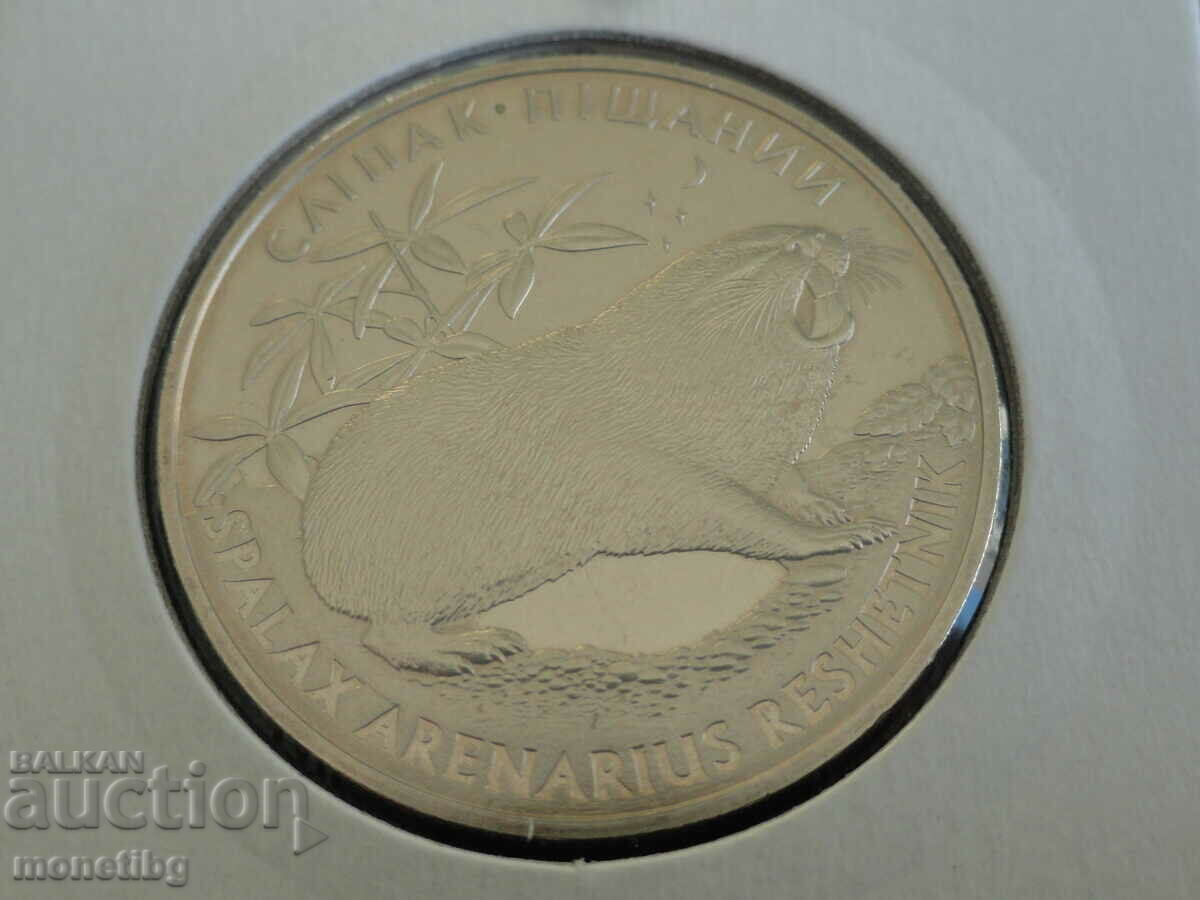 Licitație Ucraina 2005 - 2 bratari "Sand Rat".