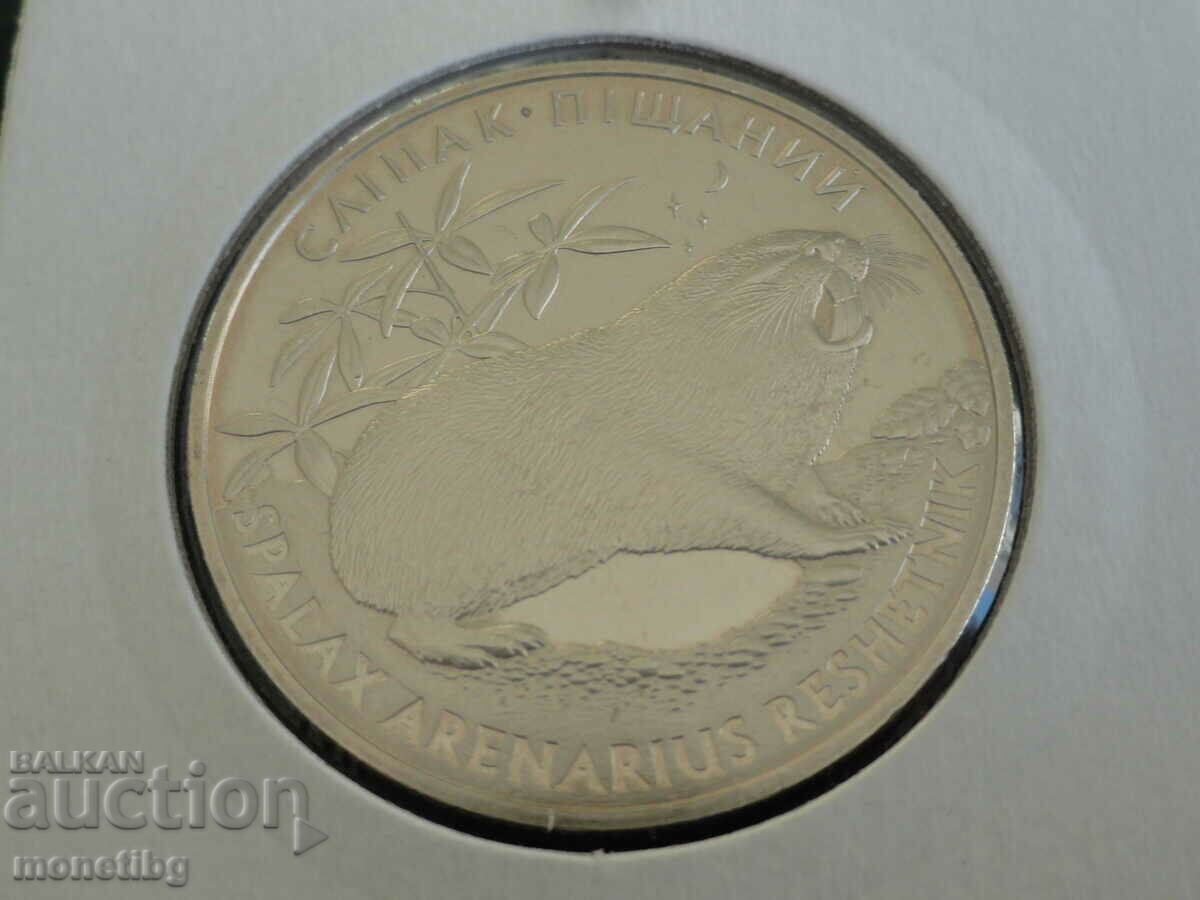 Ucraina 2005 - 2 bratari "Sand Rat".