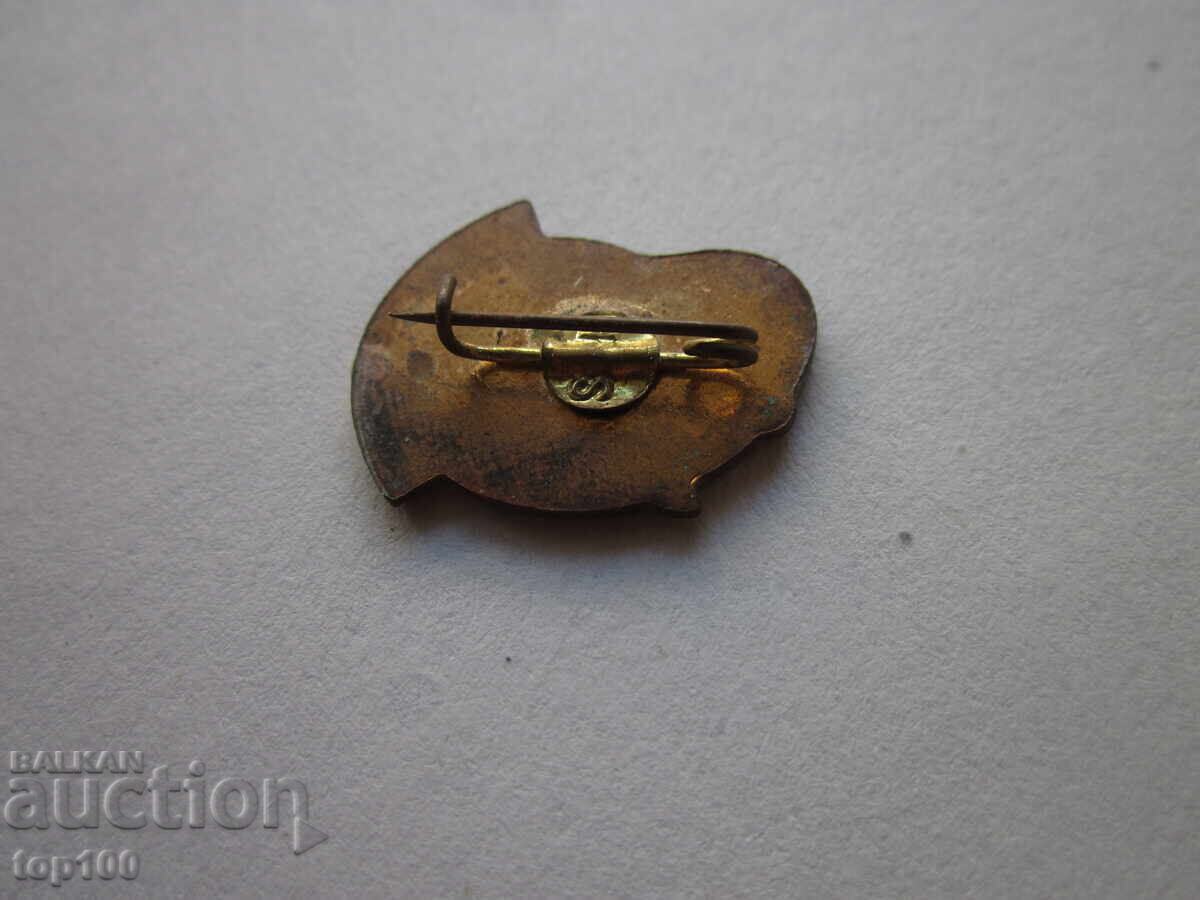 ENAMEL BADGE TOT INAINTE BZC !!! with price € 2.50 | 4.89 BGN