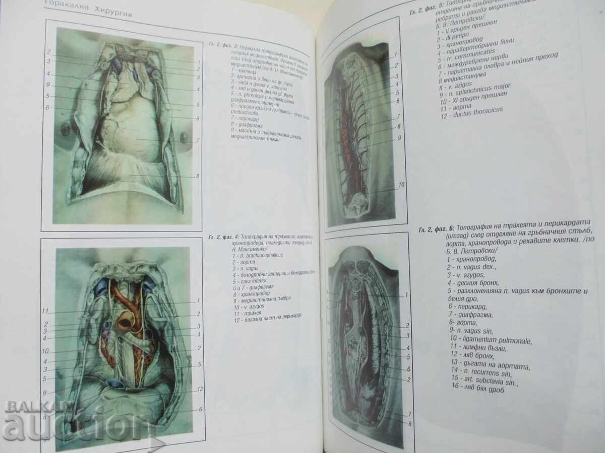 Thoracic Surgery - Petar Chervenyakov et al. 1997 - 5 Thoracic Surgery - Petar Chervenyakov et al. 1997 - 5