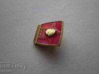 INSIGNĂ DKMS BZȚ !!!