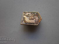 INSIGNĂ METALICĂ PIONIER INTERPRET BZȚ !!!