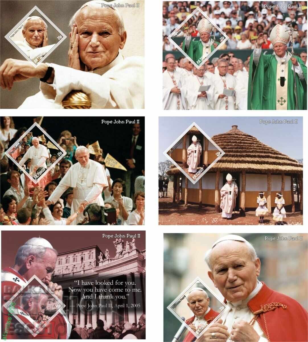 Clean blocks Pope John Paul II 2013 from Tonga