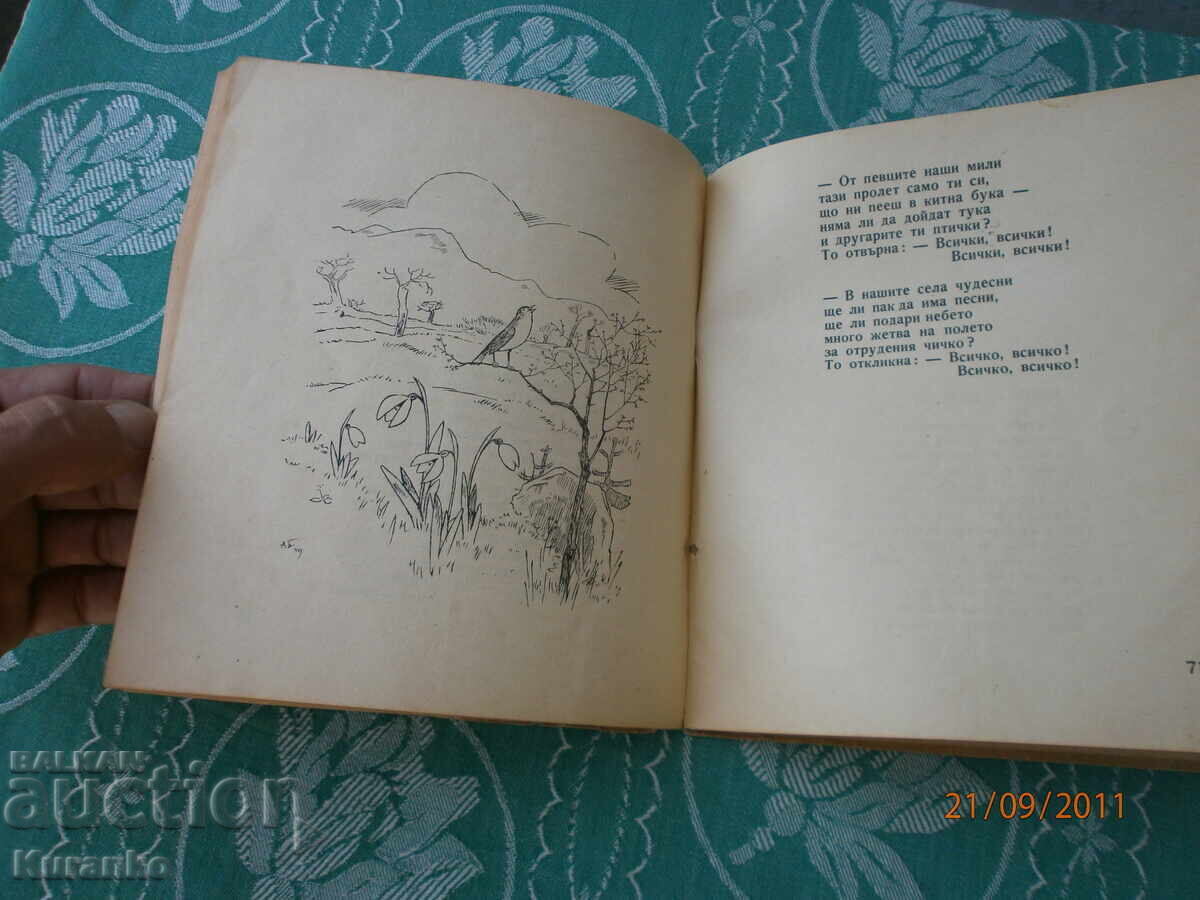 Δημοπρασία Άνκα και Πίσαγκα Θείος Στογιάν