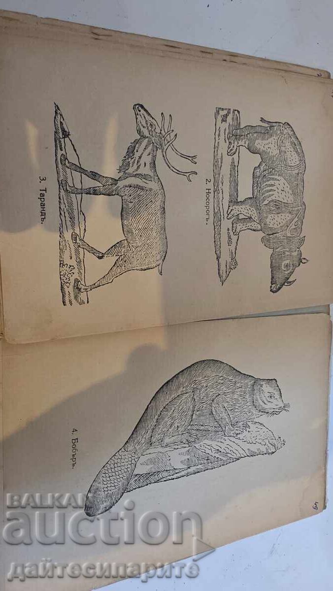 Delivery of Fish Primer