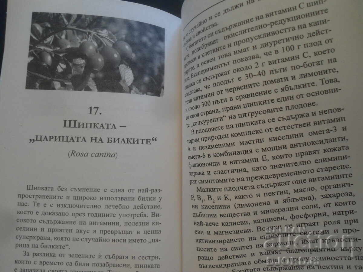 Delivery of BULGARIAN SUPERFOODS, Georgi Zhekov