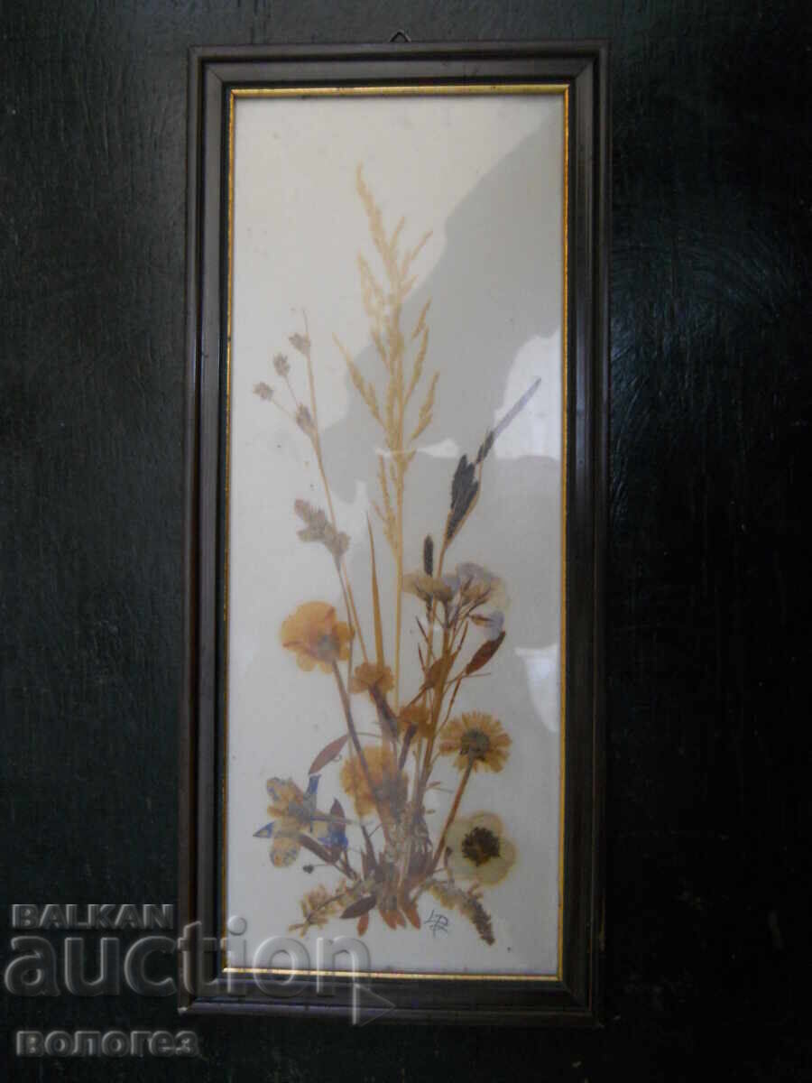 Picture herbarium - Germany