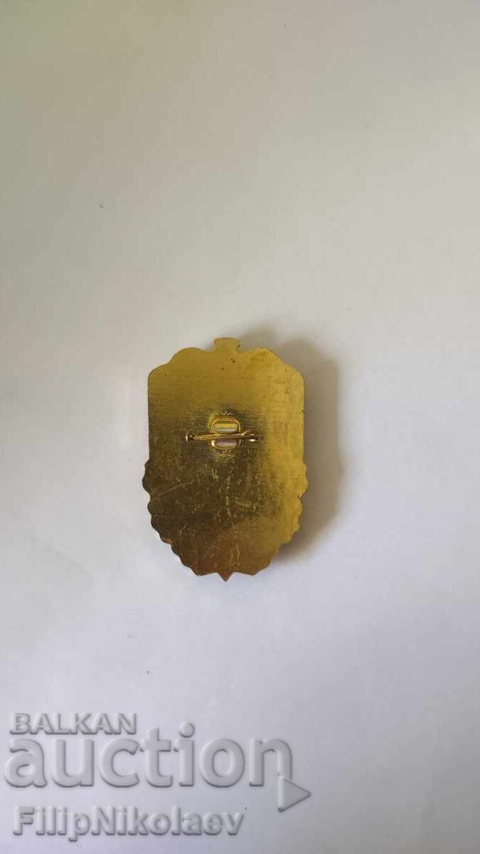 Badge 40 Years Border Troops with price 10.00 BGN | € 5.11