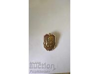 Значка 40 години Гранични войски