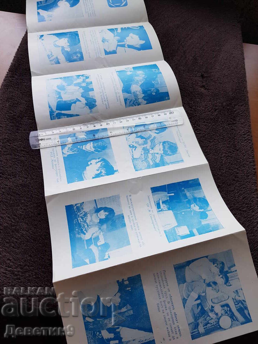 Brochure for "First Children's Exhibition" in Svishtov with price 15.00 BGN | € 7.67 Brochure for "First Children's Exhibition" in Svishtov with price 15.00 BGN | € 7.67