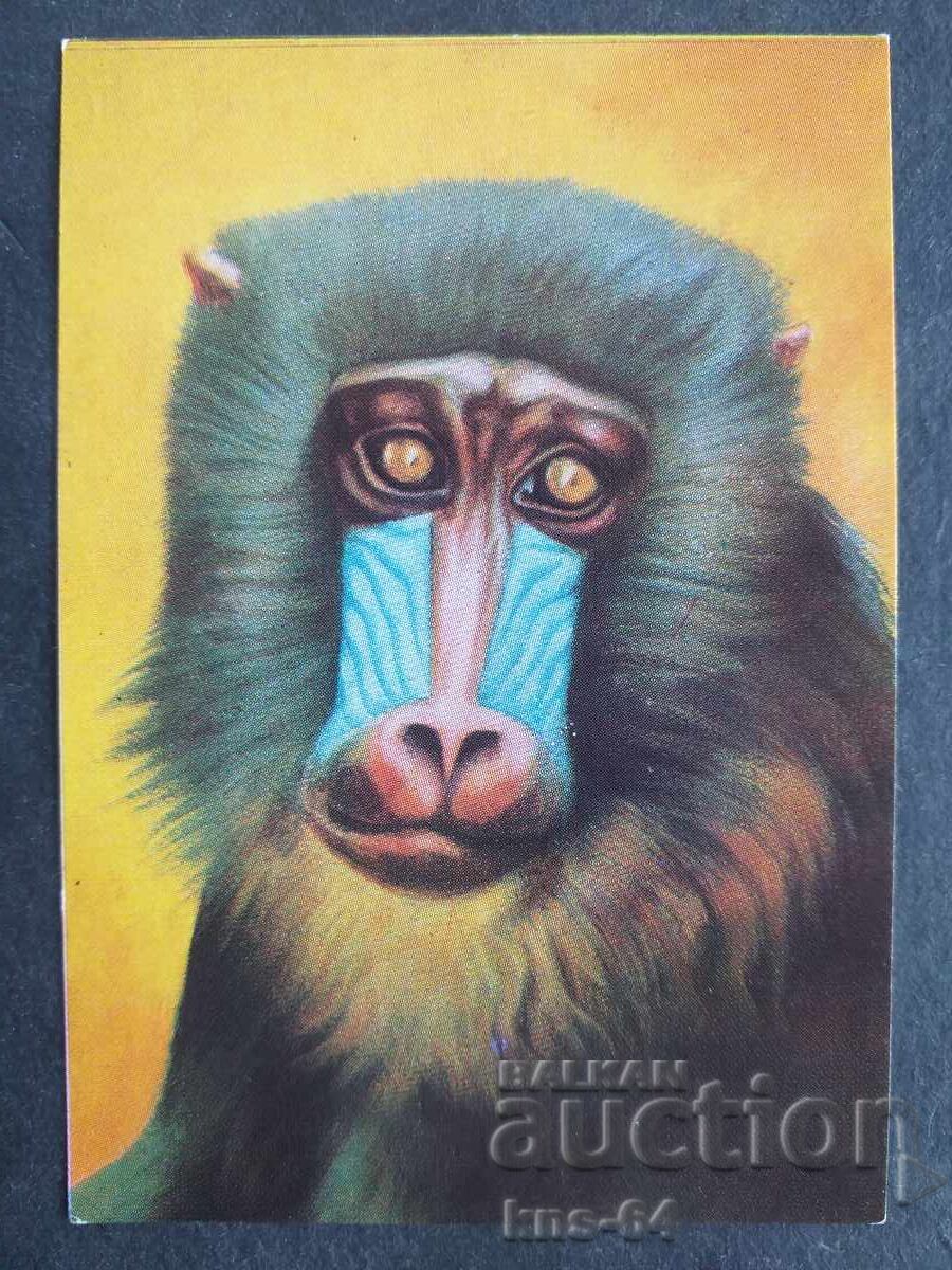 Κοινωνικό Ημερολόγιο Κοινωνικό Ημερολόγιο