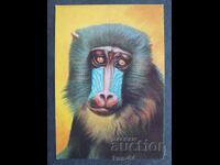 Κοινωνικό Ημερολόγιο