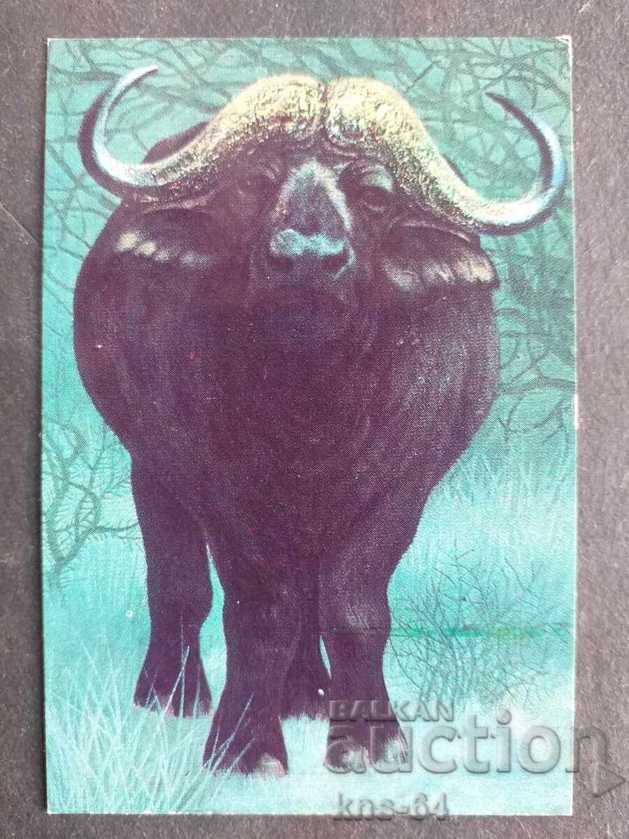 Κοινωνικό Ημερολόγιο Κοινωνικό Ημερολόγιο