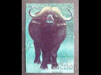 Κοινωνικό Ημερολόγιο