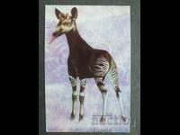 Κοινωνικό Ημερολόγιο