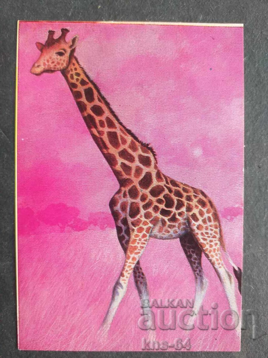 Κοινωνικό Ημερολόγιο Κοινωνικό Ημερολόγιο