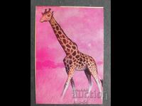 Κοινωνικό Ημερολόγιο