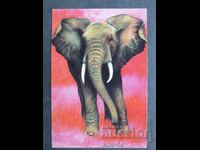 Κοινωνικό Ημερολόγιο