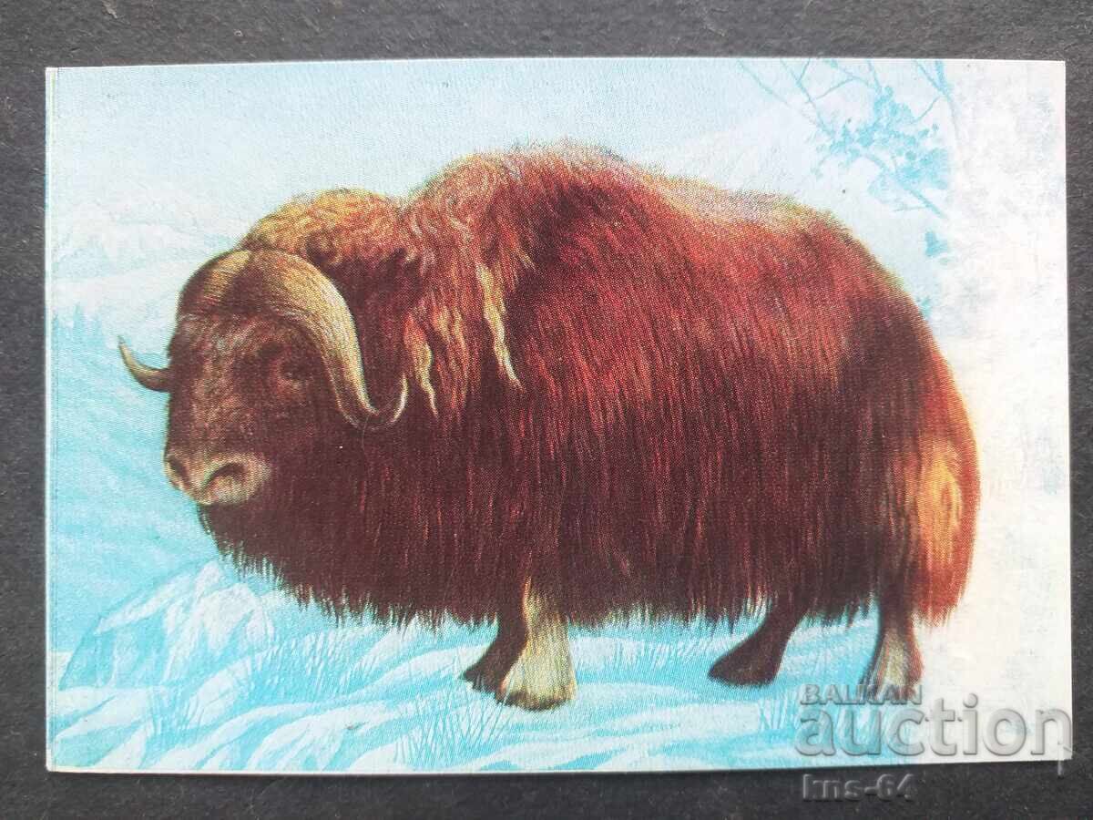 Κοινωνικό Ημερολόγιο Κοινωνικό Ημερολόγιο