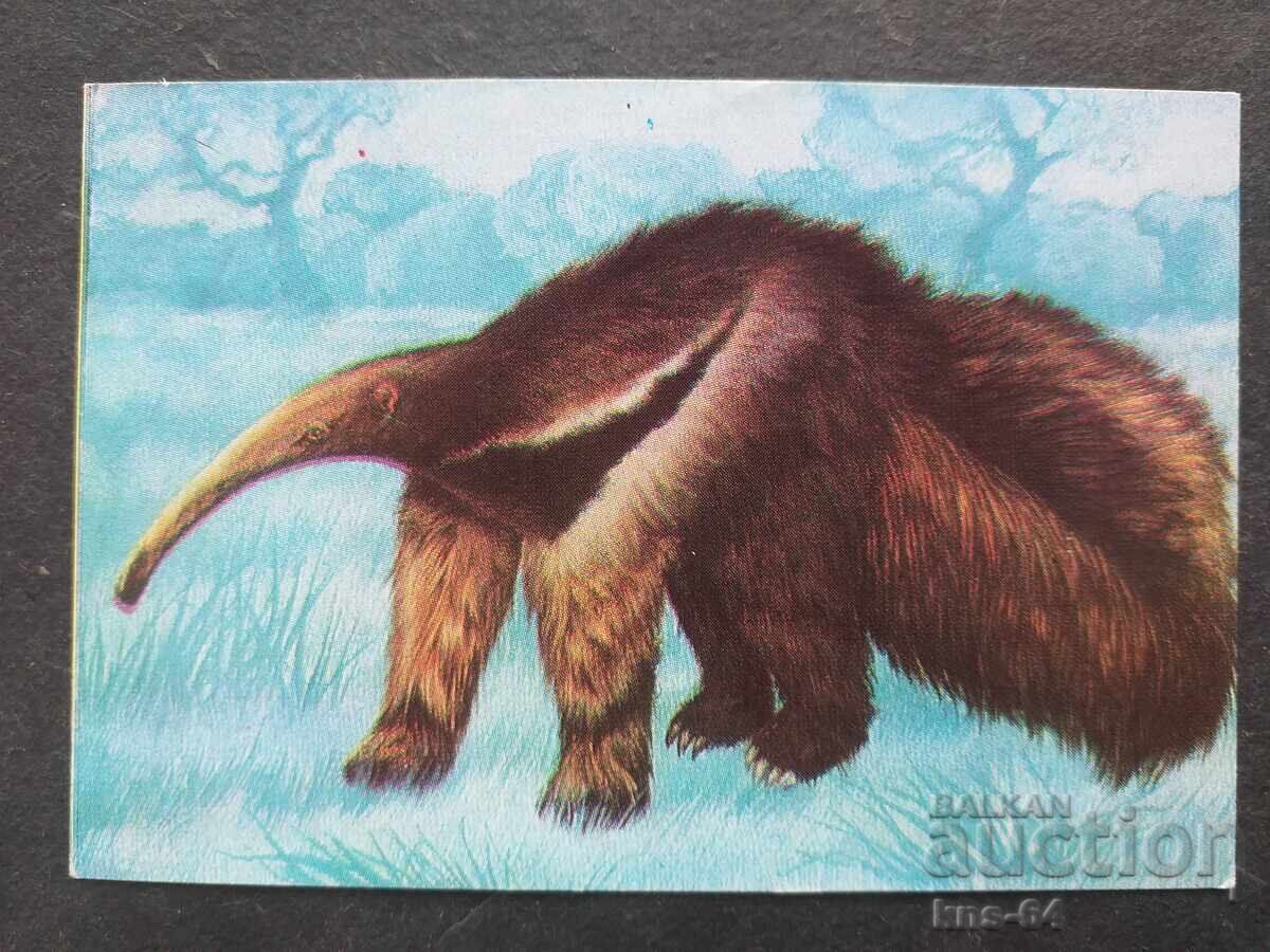 Κοινωνικό Ημερολόγιο Κοινωνικό Ημερολόγιο