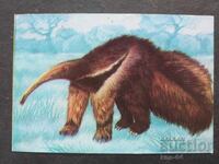 Κοινωνικό Ημερολόγιο