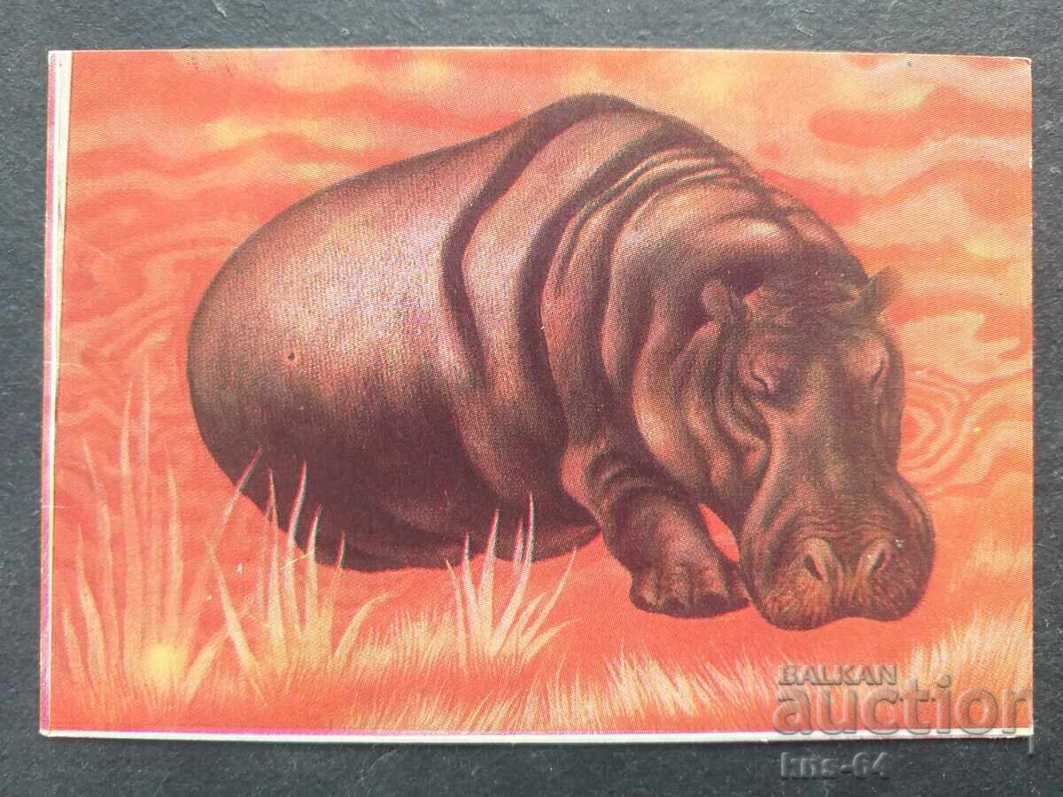 Κοινωνικό Ημερολόγιο Κοινωνικό Ημερολόγιο