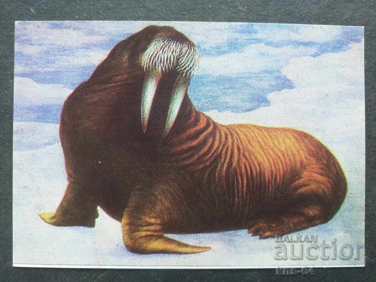 Κοινωνικό Ημερολόγιο Κοινωνικό Ημερολόγιο