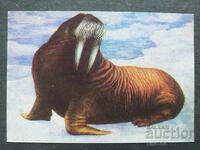 Κοινωνικό Ημερολόγιο