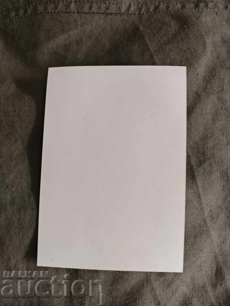 Άνοιξη Ζμιανάτς με τιμή 30.00 BGN | € 15.34