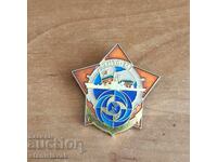 Insigna de armată a Marinei Militare