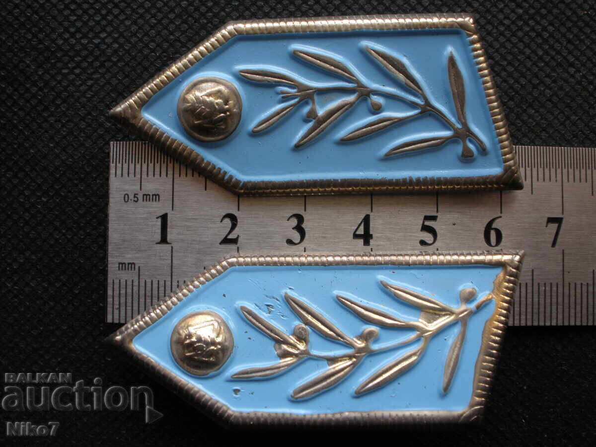 Аукцион Метални вензели (пагони).