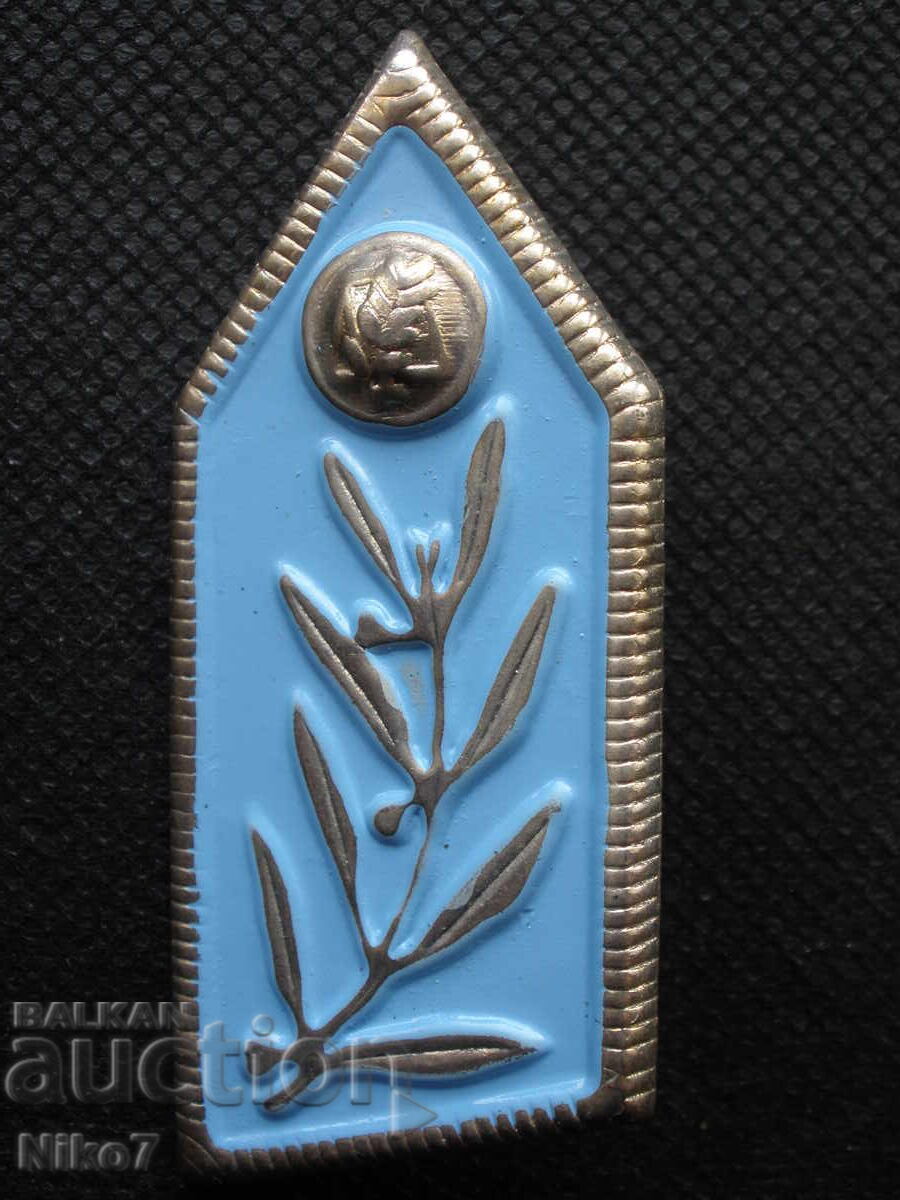 Delivery of Metal epaulettes (shoulder boards)