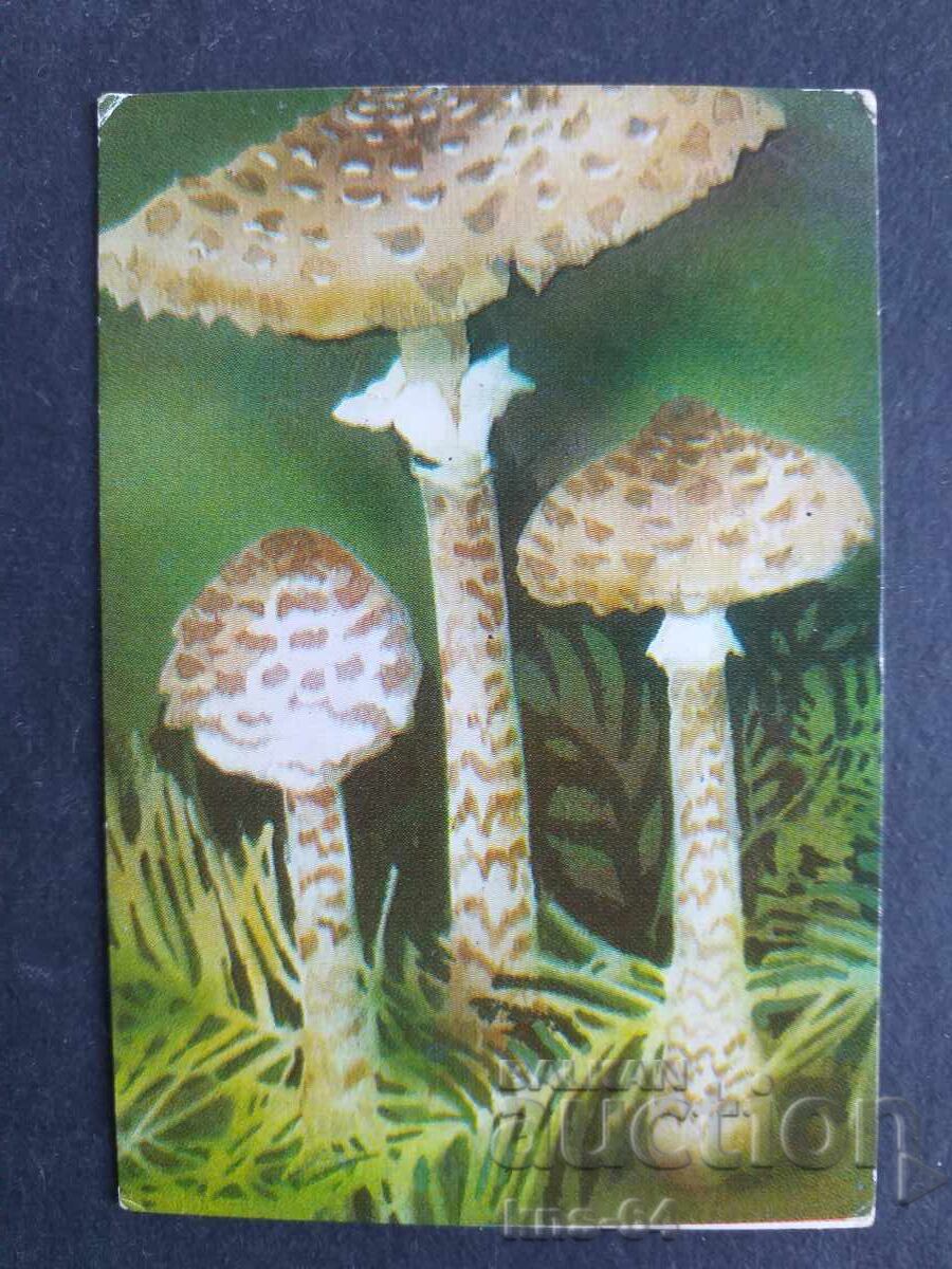 Κοινωνικό Ημερολόγιο Κοινωνικό Ημερολόγιο