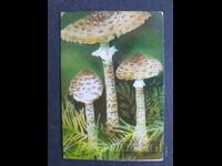 Κοινωνικό Ημερολόγιο