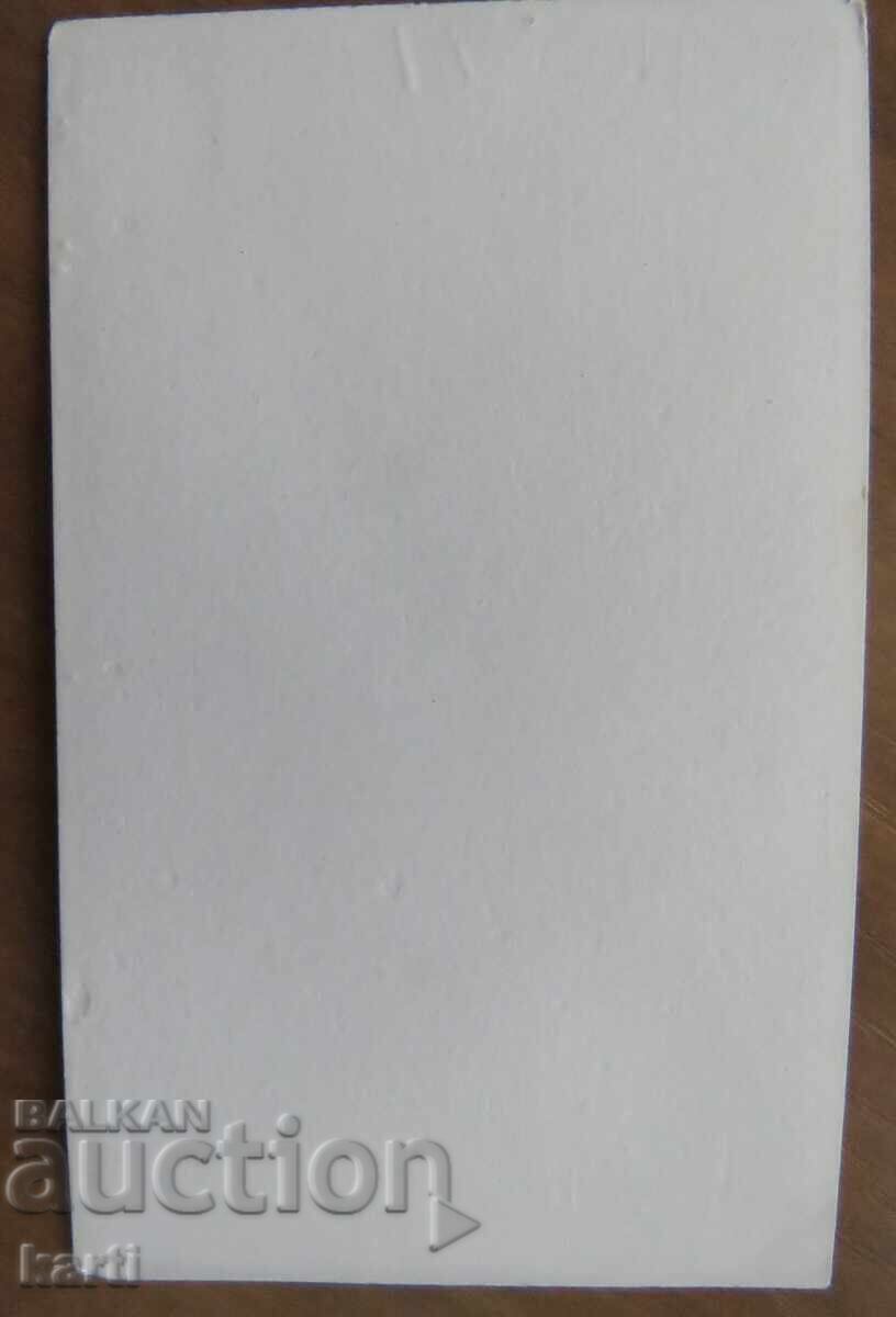 FOTOGRAFIE VECHE - CARTON - EXCELENTĂ - circa 1880 cu preț 9.99 BGN | € 5.11