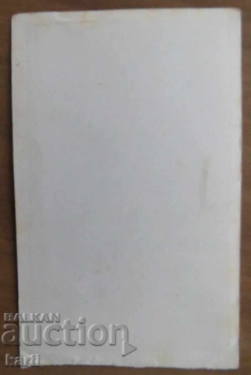 FOTOGRAFIE VECHE - CARTON - EXCELENTĂ - circa 1870 cu preț 14.99 BGN | € 7.66