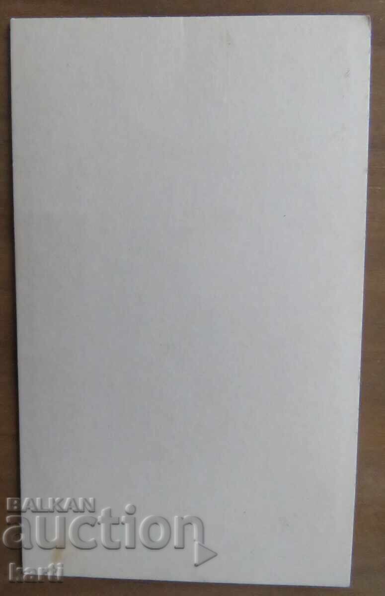 OLD PHOTOGRAPH - CARDBOARD - EXCELLENT - circa 1880 with price 11.99 BGN | € 6.13