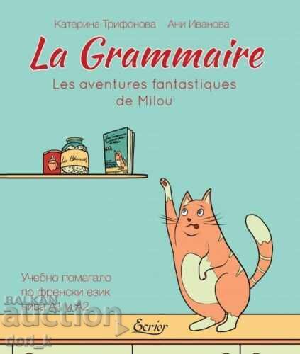 Grammar: The Fantastic Adventures of Milou A1 and A2