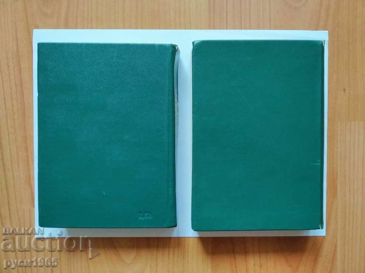 DICTIONARIES - 2 items with price 6.00 BGN | € 3.07 DICTIONARIES - 2 items with price 6.00 BGN | € 3.07