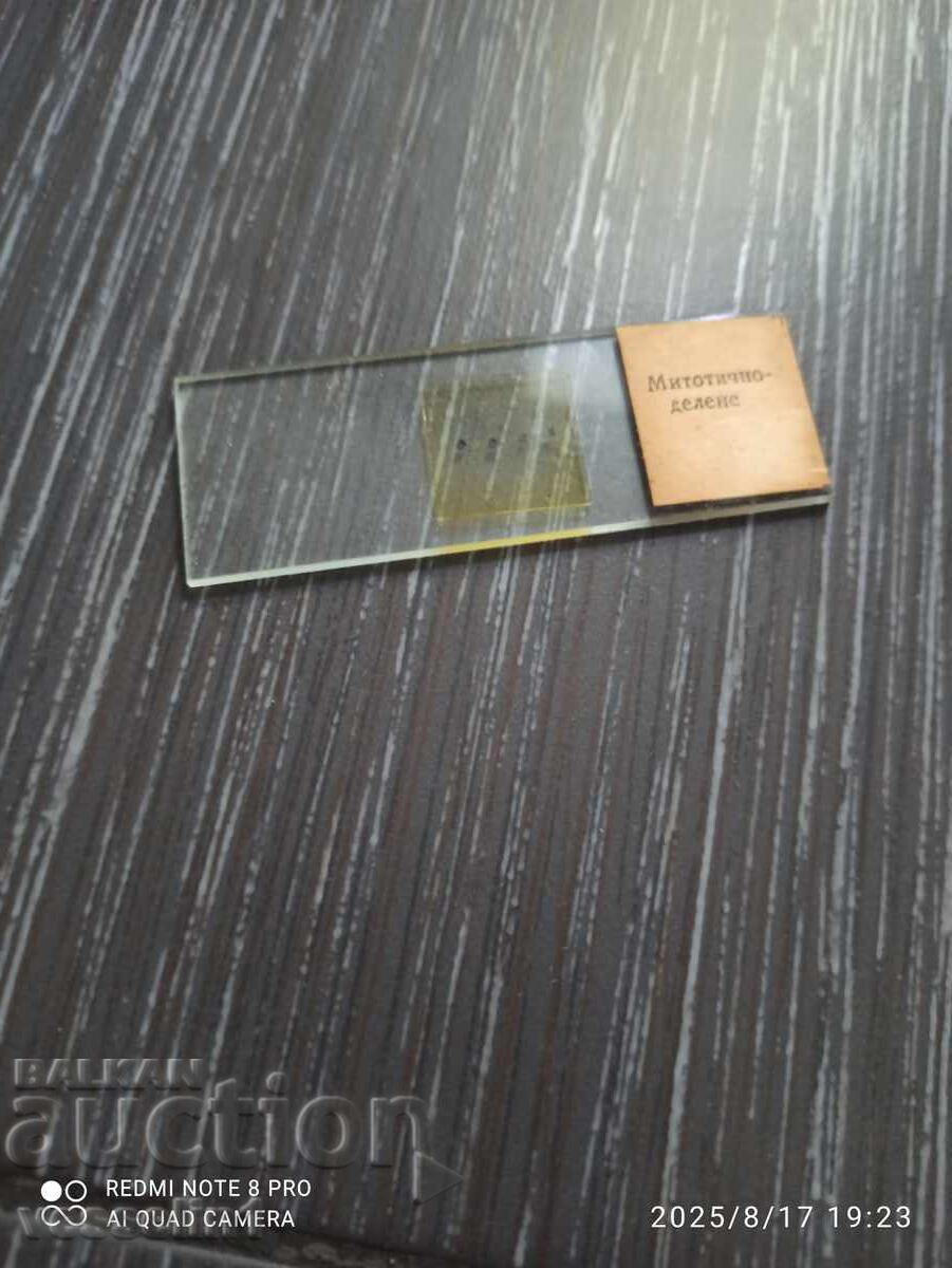 Preparate microscopice Delene UchTechProm Lomonosov cu preț 25.00 BGN | € 12.78 Preparate microscopice Delene UchTechProm Lomonosov cu preț 25.00 BGN | € 12.78