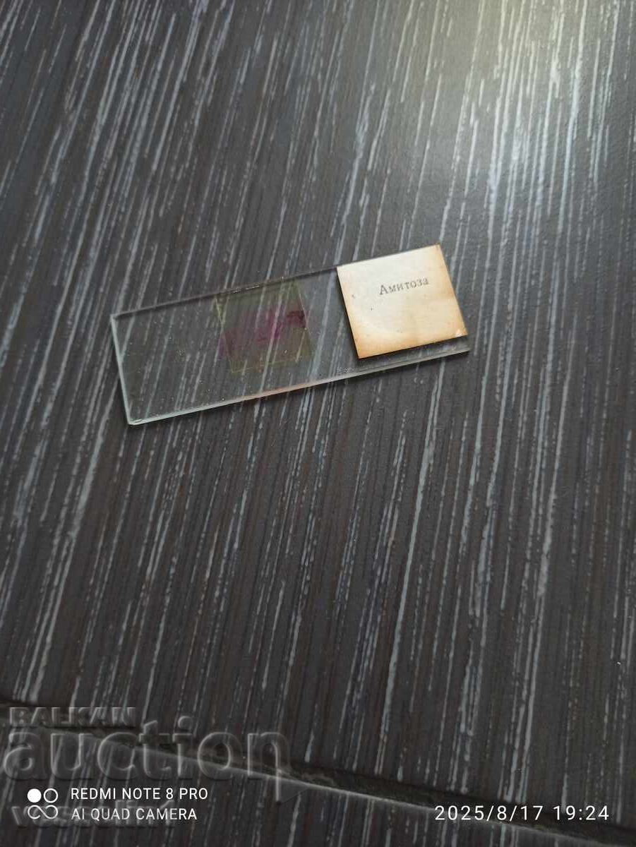 Licitație Preparate microscopice Delene UchTechProm Lomonosov Licitație Preparate microscopice Delene UchTechProm Lomonosov