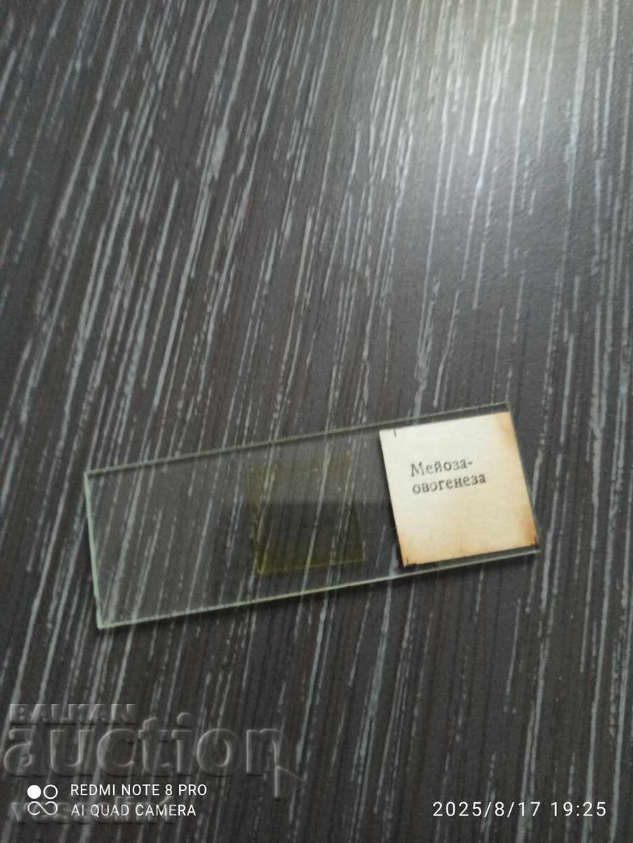 Livrarea Preparate microscopice Delene UchTechProm Lomonosov Livrarea Preparate microscopice Delene UchTechProm Lomonosov