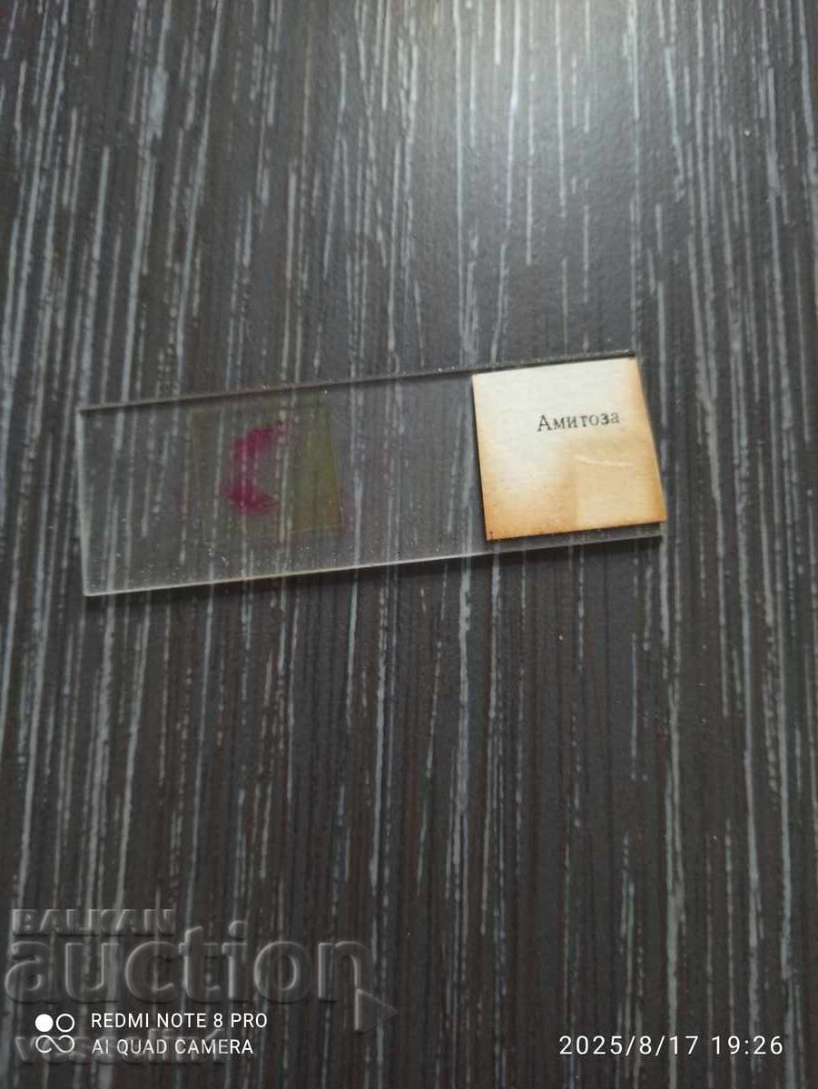 Preparate microscopice Delene UchTechProm Lomonosov - 5 Preparate microscopice Delene UchTechProm Lomonosov - 5